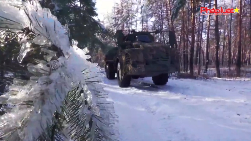 Bản tin kinh tế 14/3/2024