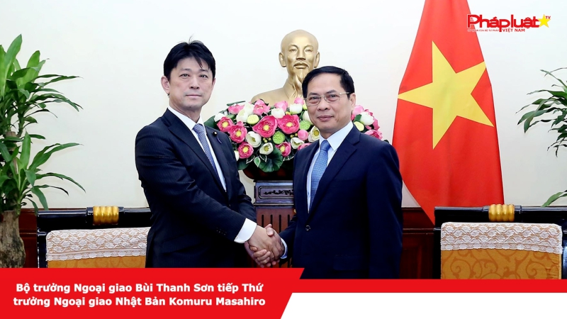 Bộ trưởng Ngoại giao Bùi Thanh Sơn tiếp Thứ trưởng Ngoại giao Nhật Bản Komuru Masahiro