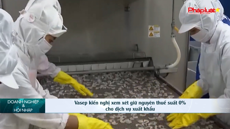 Bản tin Doanh nghiệp và Hội nhập: Vasep kiến nghị xem xét giữ nguyên thuế suất 0% cho dịch vụ xuất khẩu