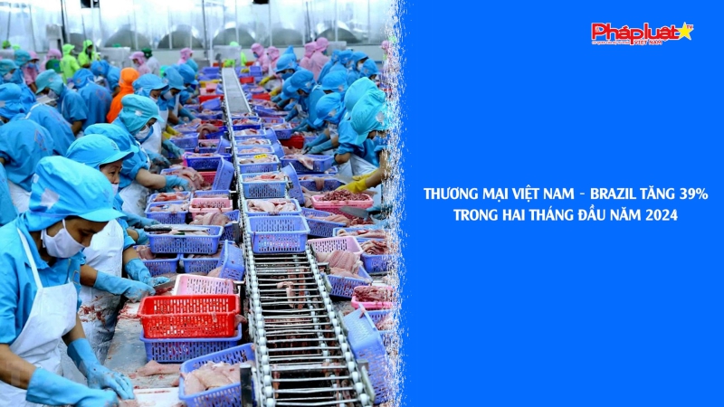 Bản tin Doanh nghiệp và Hội nhập: Thương mại Việt Nam – Brazil tăng 39% trong hai tháng đầu năm 2024