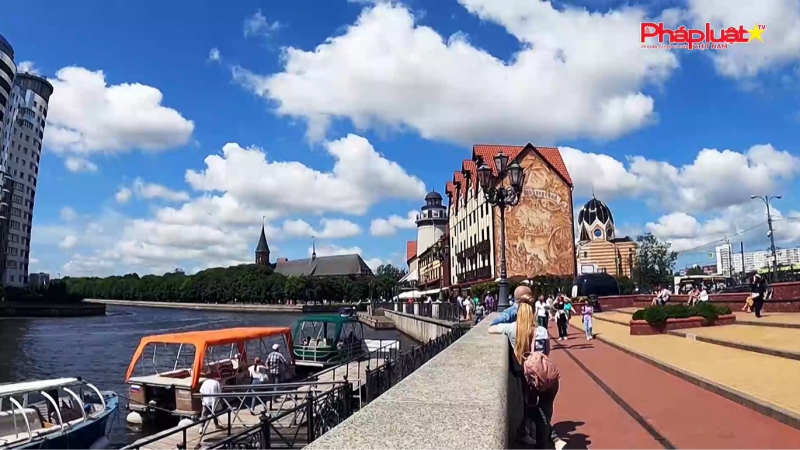 Thế giới trong tuần 31/3