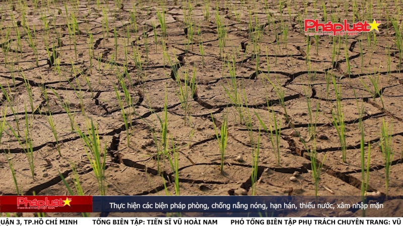 Bản tin Truyền thông Chính sách ngày 11/4/2024: Thực hiện các biện pháp phòng, chống nắng nóng, hạn hán, thiếu nước, xâm nhập mặn