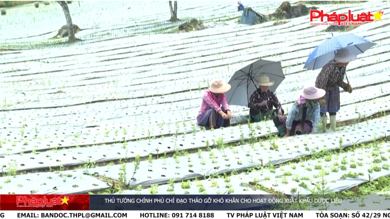 Bản tin Truyền thông Chính sách ngày 15/4/2024 - Thủ tướng Chính phủ chỉ đạo tháo gỡ khó khăn cho hoạt động xuất khẩu dược liệu