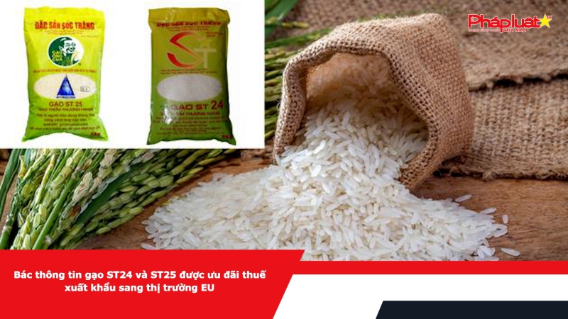 Bác thông tin gạo ST24 và ST25 được ưu đãi thuế xuất khẩu sang thị trường EU