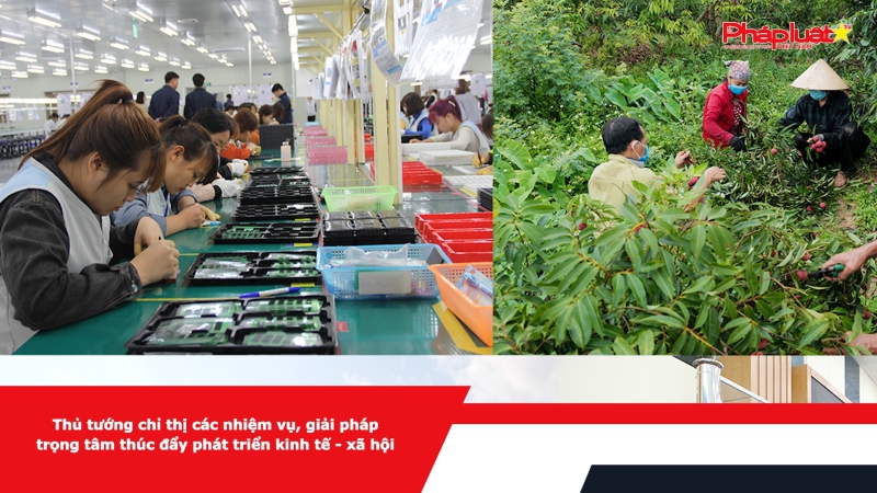 Thủ tướng chỉ thị các nhiệm vụ, giải pháp trọng tâm thúc đẩy phát triển kinh tế - xã hội