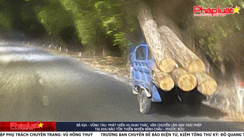 Bà Rịa - Vũng Tàu: Phát hiện vụ khai thác, vận chuyển lâm sản trái phép tại Khu bảo tồn thiên nhiên Bình Châu-Phước Bửu