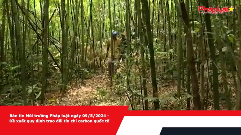 Bản tin Môi trường Pháp luật ngày 09/5/2024 - Đề xuất quy định trao đổi tín chỉ carbon quốc tế