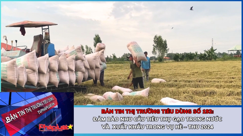 Bản tin Thị trường Tiêu dùng số 192: Đảm bảo nhu cầu tiêu thụ gạo trong nước và xuất khẩu trong vụ Hè – Thu 2024