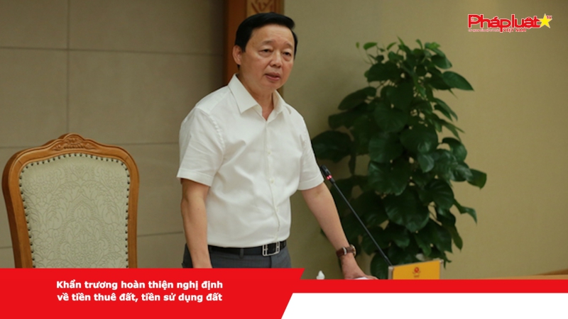Khẩn trương hoàn thiện nghị định về tiền thuê đất, tiền sử dụng đất