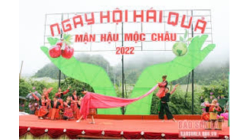 Bản tin Văn hóa ngày 23/5/2024: “Sơn La: Sôi nổi 