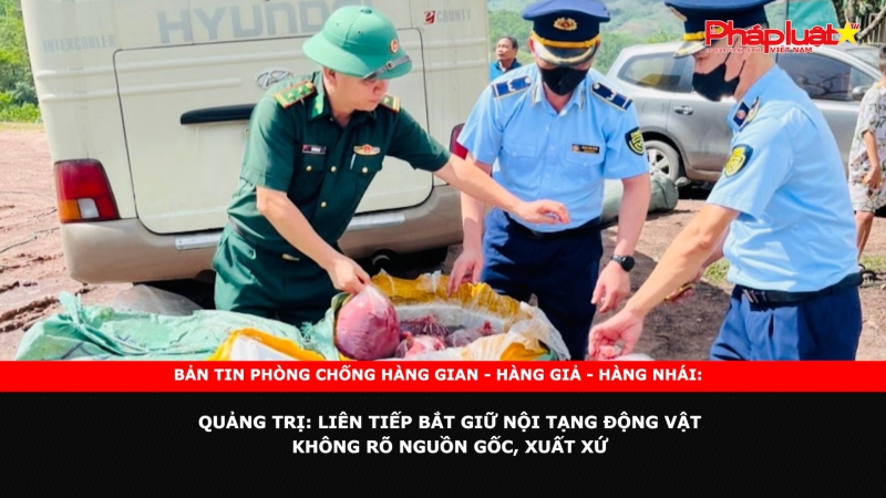 Bản tin chung tay cùng doanh nghiệp phòng chống Hàng gian- Hàng giả- Hàng nhái: Quảng Trị Liên tiếp bắt giữ vận chuyển nội tạng động vật không rõ nguồn gốc, xuất xứ
