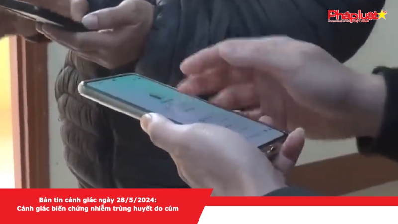 Bản tin cảnh giác ngày 28/5/2024: Cảnh giác biến chứng nhiễm trùng huyết do cúm