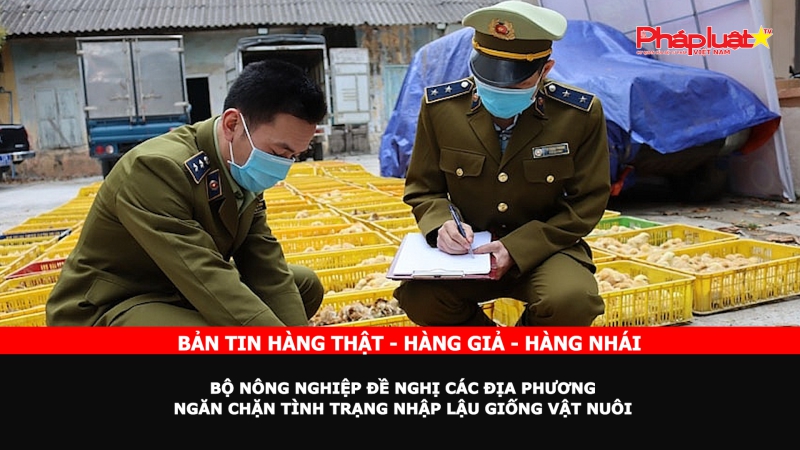 Bản tin chung tay cùng doanh nghiệp phòng chống Hàng gian- Hàng giả- Hàng nhái: Bộ Nông nghiệp đề nghị các địa phương ngăn chặn tình trạng nhập lậu giống vật nuôi