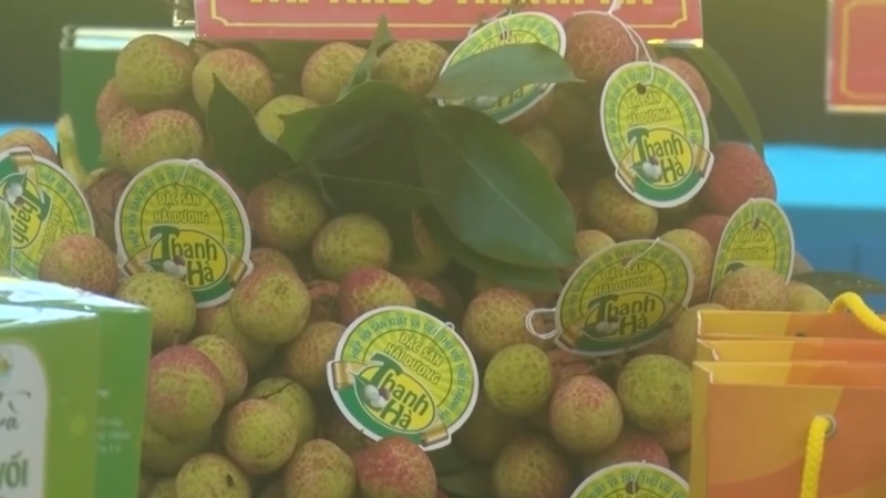 Bản tin Văn hóa ngày 28/5/2024: Xúc tiến tiêu thụ vải thiều Thanh Hà gắn với du lịch