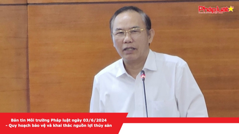 Bản tin Môi trường Pháp luật ngày 03/6/2024 - Quy hoạch bảo vệ và khai thác nguồn lợi thủy sản