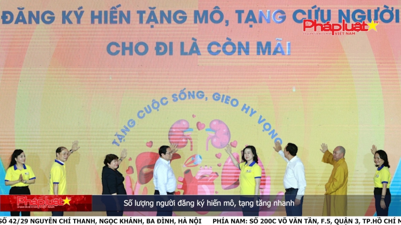 Bản tin Y tế ngày 8/6/2024: Số lượng người đăng ký hiến mô, tạng tăng nhanh