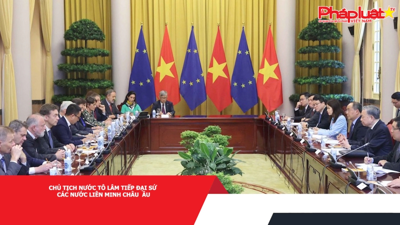 Chủ tịch nước Tô Lâm tiếp Đại sứ các nước Liên minh châu âu