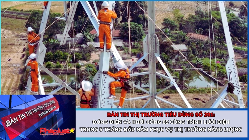 Bản tin Thị trường Tiêu dùng số 201: Đóng điện và khởi công 85 công trình lưới điện trong 5 tháng đầu năm phục vụ thị trường năng lượng