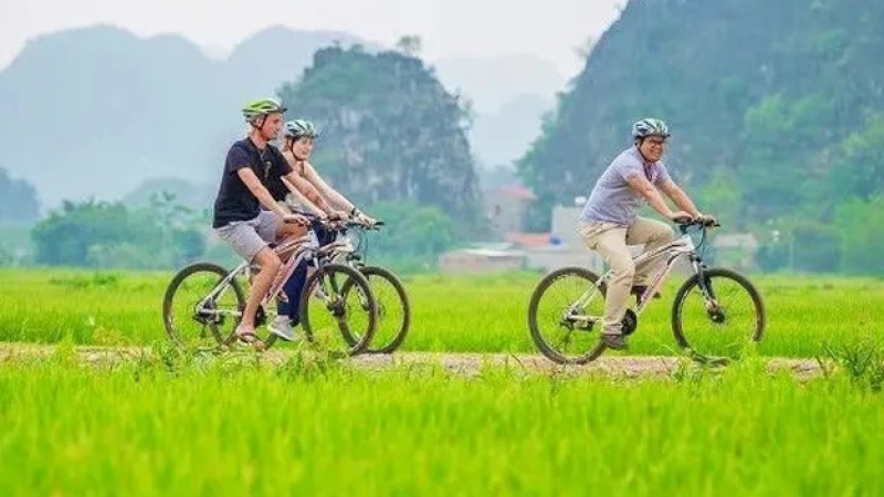 Bản tin Văn hóa ngày 11/6/2024: “Du khách Anh bình chọn Việt Nam vào Top 