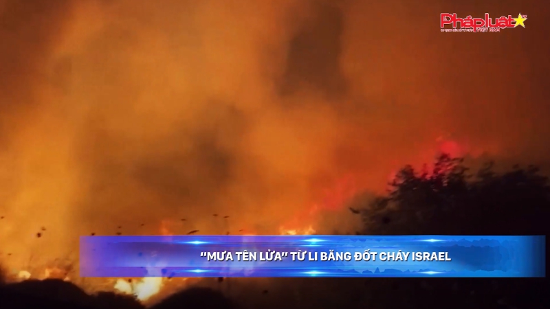 Bản tin sáng 12-6