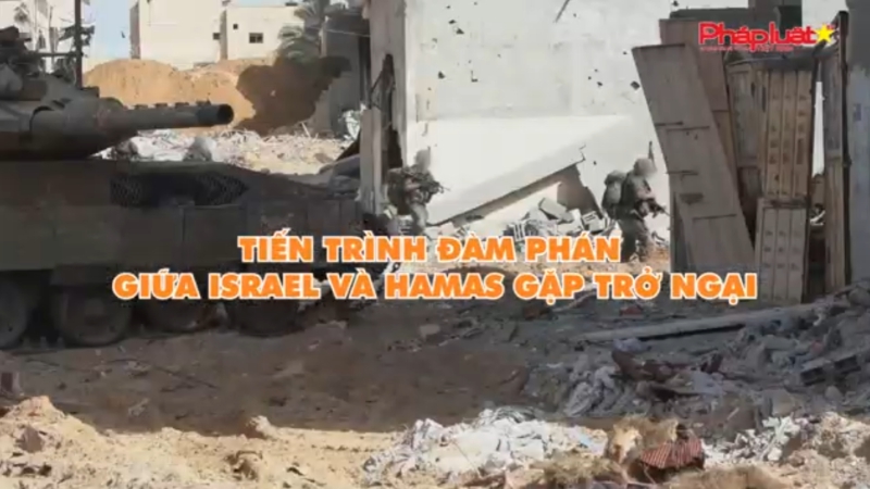 Thời sự Quốc tế 13/6/2024