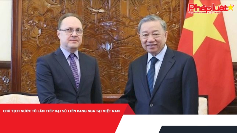 Chủ tịch nước Tô Lâm tiếp Đại sứ Liên bang Nga tại Việt Nam