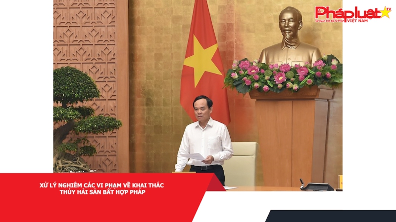 Xử lý nghiêm các vi phạm về khai thác thủy hải sản bất hợp pháp