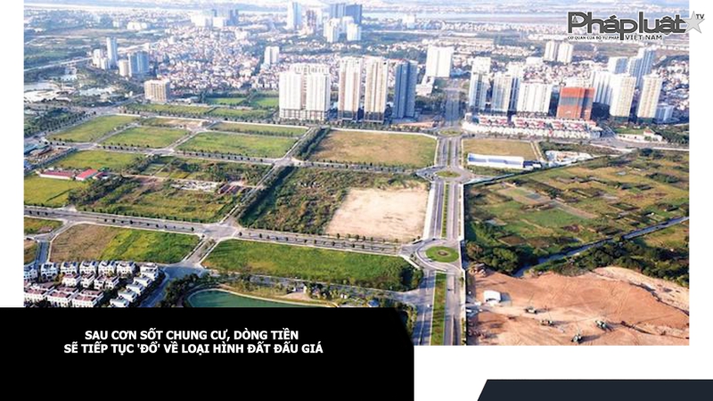 Sau cơn sốt chung cư, dòng tiền sẽ tiếp tục 'đổ' về loại hình đất đấu giá