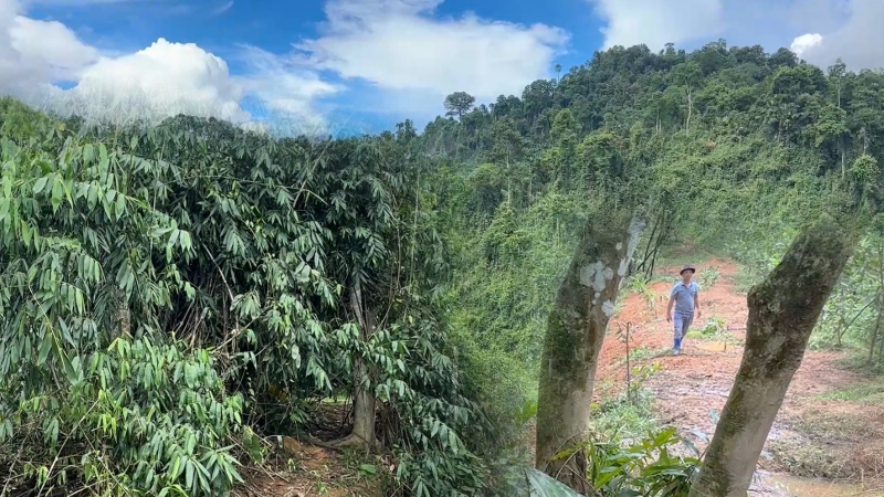 Nghệ An: Vướng chính sách, nhiều người dân 