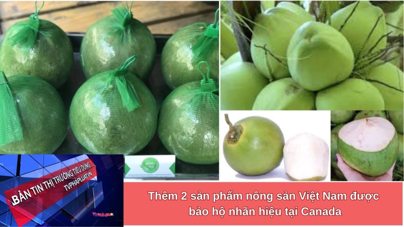 Bản tin Thị trường Tiêu dùng số 219: Thêm 2 sản phẩm nông sản Việt Nam được bảo hộ nhãn hiệu tại Canada