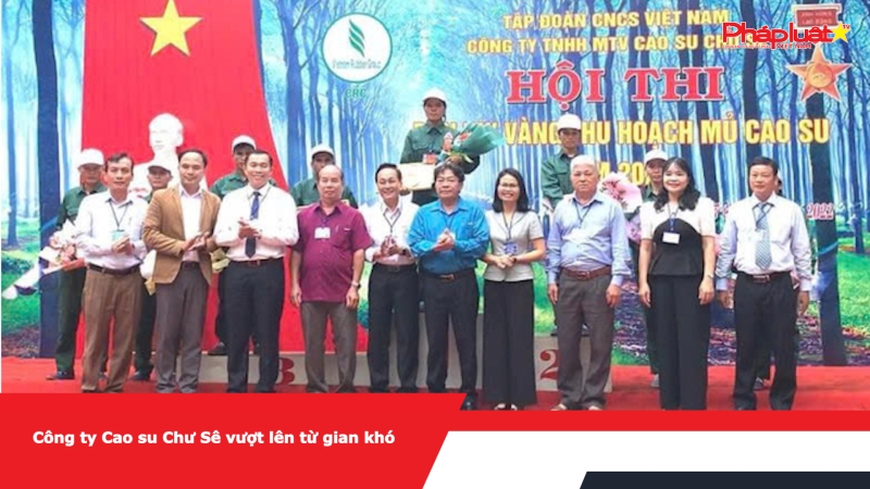 Công ty Cao su Chư Sê vượt lên từ gian khó
