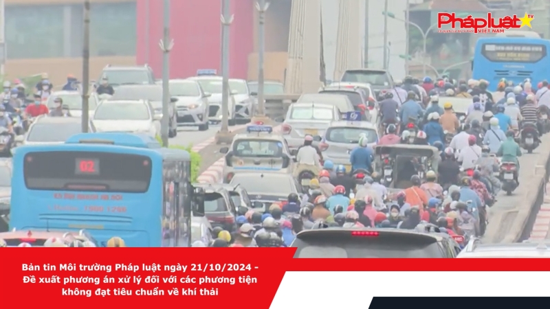 Bản tin Môi trường Pháp luật ngày 21/10/2024 - Đề xuất phương án xử lý đối với các phương tiện không đạt tiêu chuẩn về khí thải