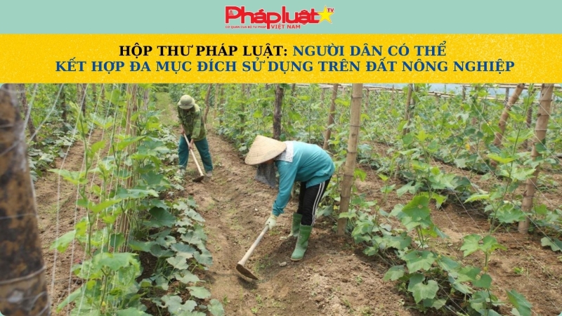 HỘP THƯ PHÁP LUẬT: Người dân có thể kết hợp đa mục đích sử dụng trên đất nông nghiệp