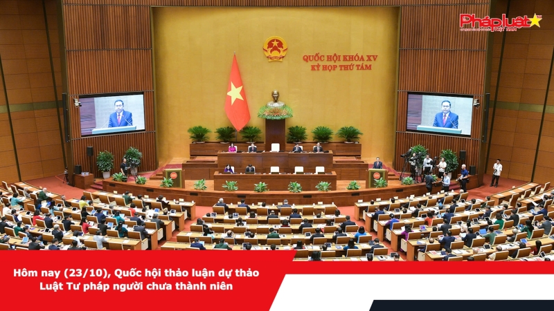 Hôm nay (23/10), Quốc hội thảo luận dự thảo Luật Tư pháp người chưa thành niên